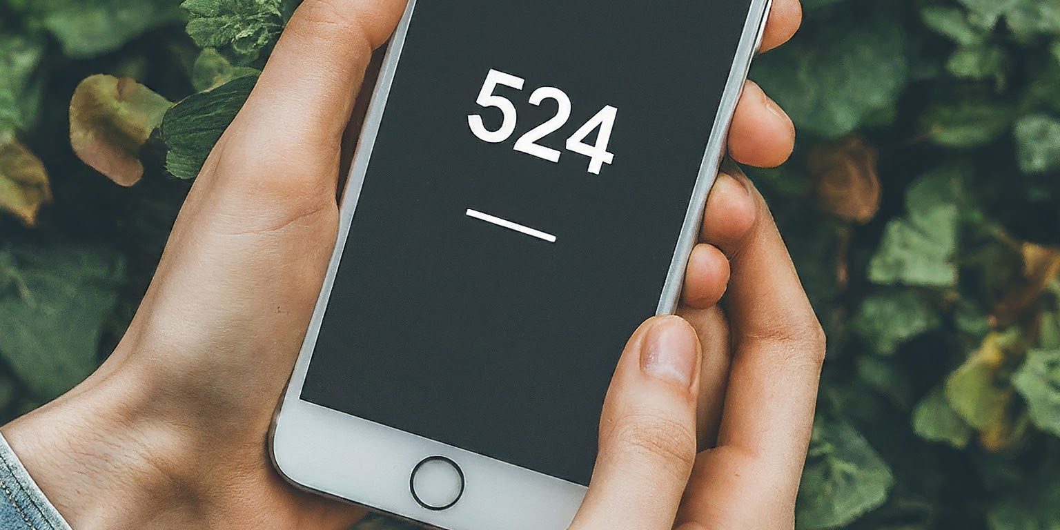 524 Area Code United States