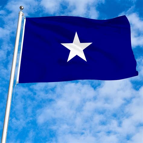 Blue United States Flag Blue United States Flag