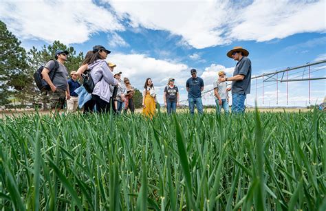 Colorado Agricultural Systems Field Class College Of Agricultural Colorado Agricultural Systems Field Class College Of Agricultural