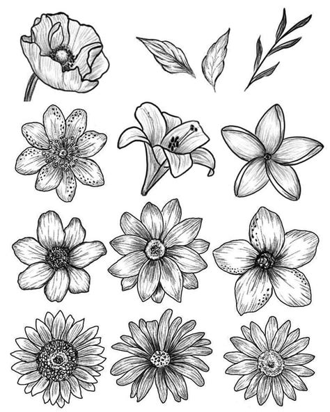 Drawing Easy Bouquet Drawing Easy Pictures Of Flowers Frikilo Quesea Drawing Easy Bouquet Drawing Easy Pictures Of Flowers Frikilo Quesea