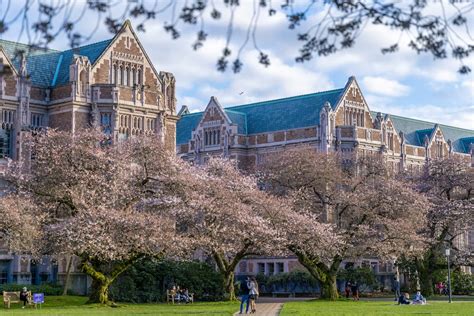 Fun Things To Do Near The University Of Washington Campus Fun Things To Do Near The University Of Washington Campus