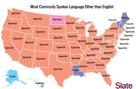 How Many Languages Are Spoken In The United States