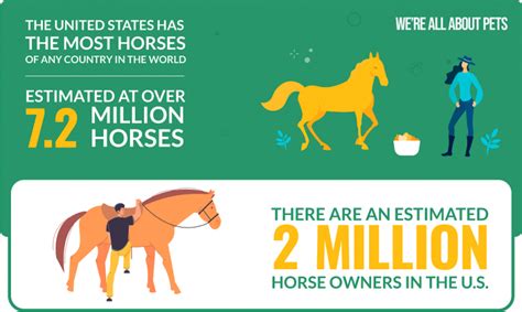 Number Of Horses In The United States