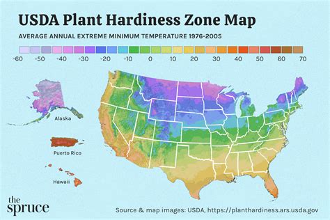 The Usda Plant Hardiness Zone Map Planting Zones Map Plant Hardiness The Usda Plant Hardiness Zone Map Planting Zones Map Plant Hardiness
