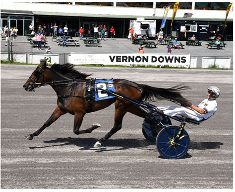 United States Trotting Entries