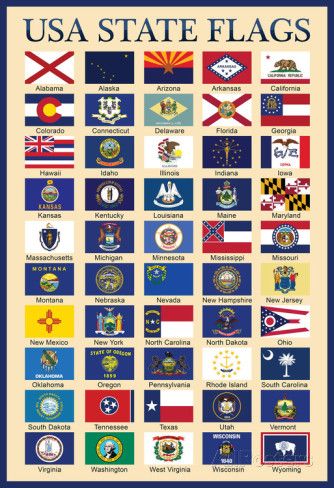 Usa 50 State Flags Chart Posters Allposters Com State Flags Usa 50 State Flags Chart Posters Allposters Com State Flags