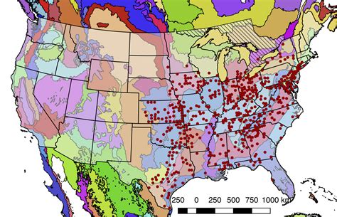 Where Do Bot Flies Live In The United States
